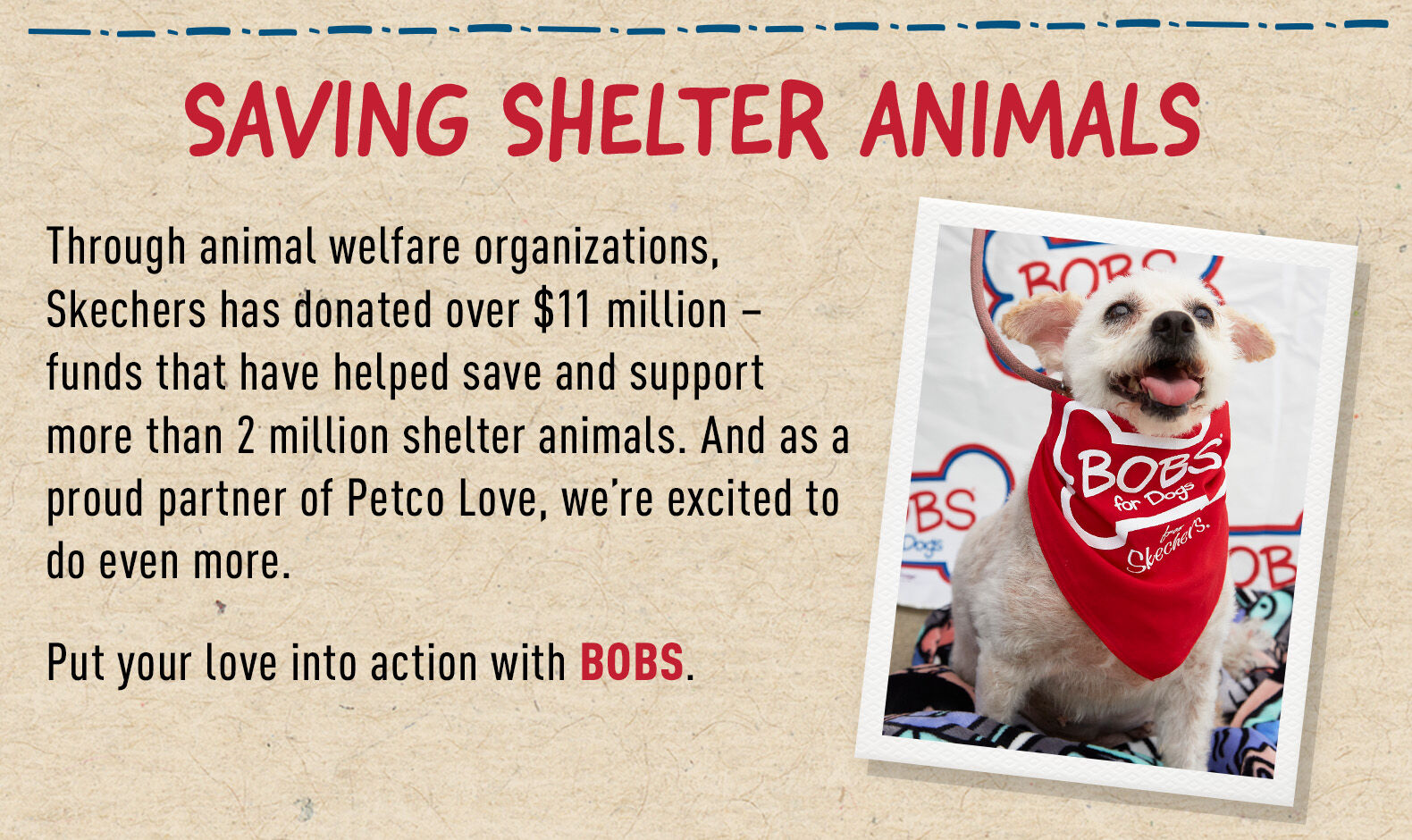 BOBS Charity SKECHERS